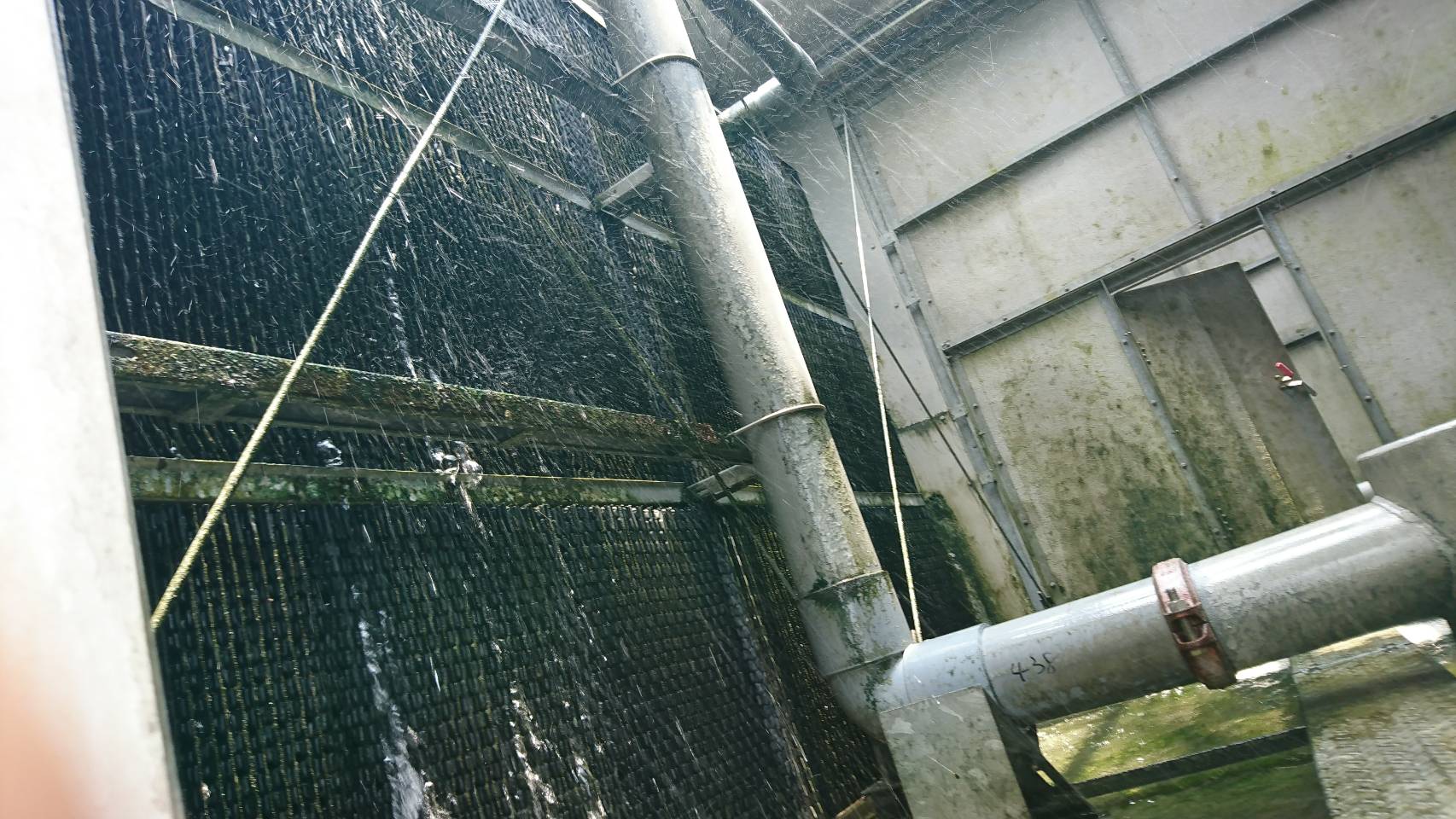 散熱填料表層污染嚴重，水流分布不均