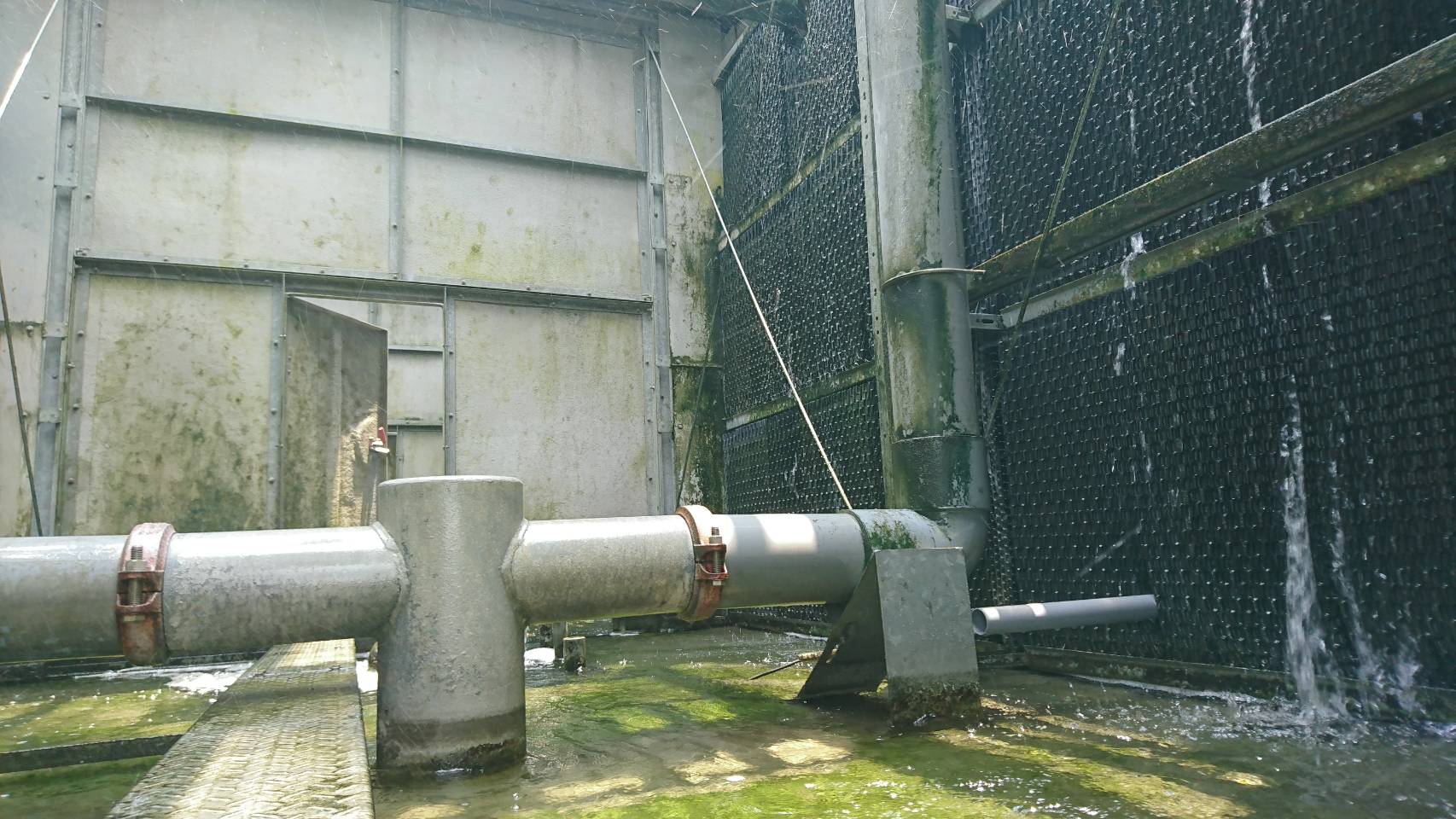 方形水塔內側布滿生物膜，呈現褐綠色污染