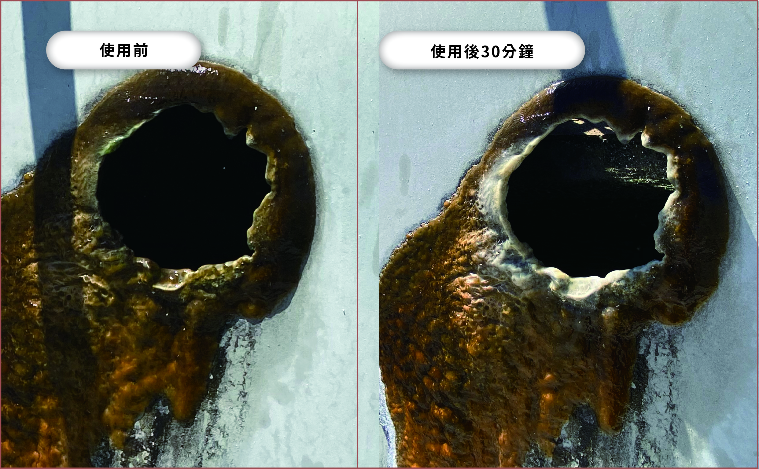 SK-160 + SK-168 投藥後 30 分鐘：灰色生物膜殘留局部放大